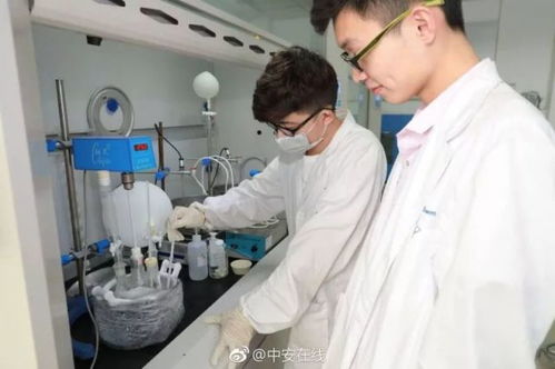全國超80%光纖依賴的背后 電子專用材料研發(fā)的隱形冠軍