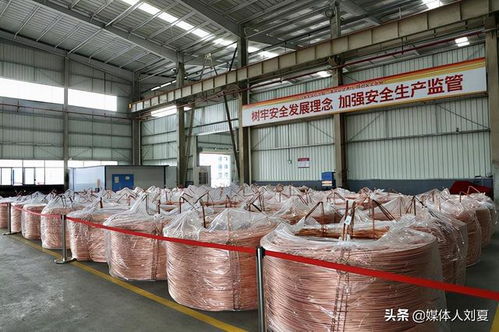向綠而行，智造未來 湘潭金龍新材料的技術創新之路